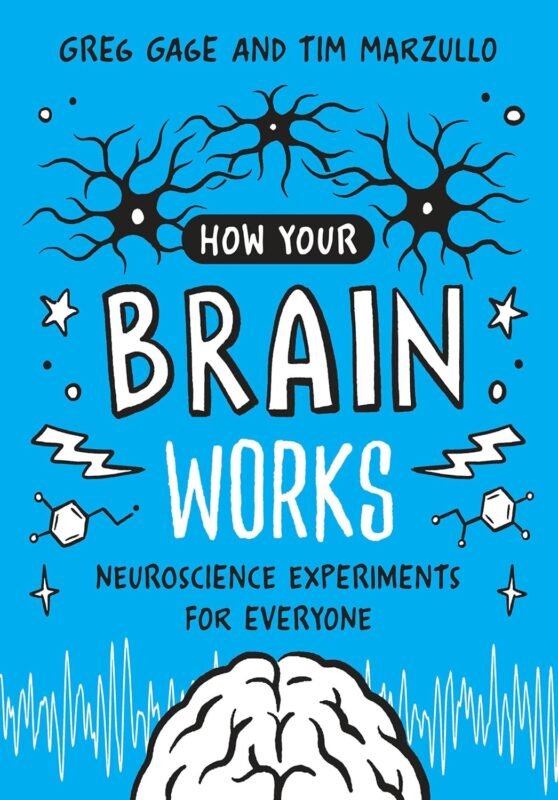 How Your Brain Works - Neuroscience