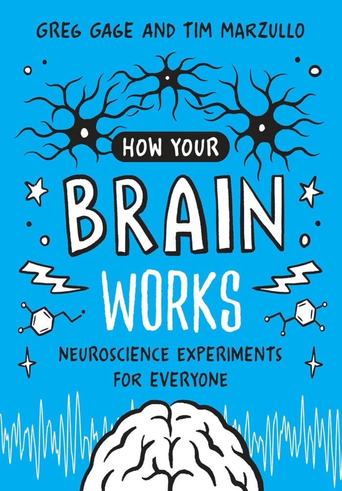 How Your Brain Works - Neuroscience